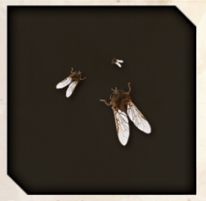 Gnat icon from Like a Dragon Infinite Wealth.