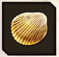 Gold Cockle icon from Like a Dragon Infinite Wealth.