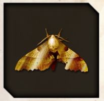 Golden Lampchaser icon from Like a Dragon Infinite Wealth.