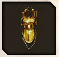 Golden Pincher icon from Like a Dragon Infinite Wealth.