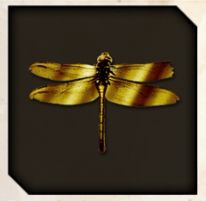Golden Zinger icon from Like a Dragon Infinite Wealth.