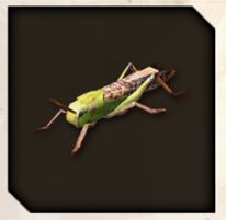 Grasshopper icon from Like a Dragon Infinite Wealth.