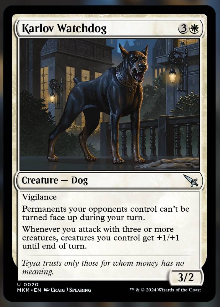 Karlov Watchdog