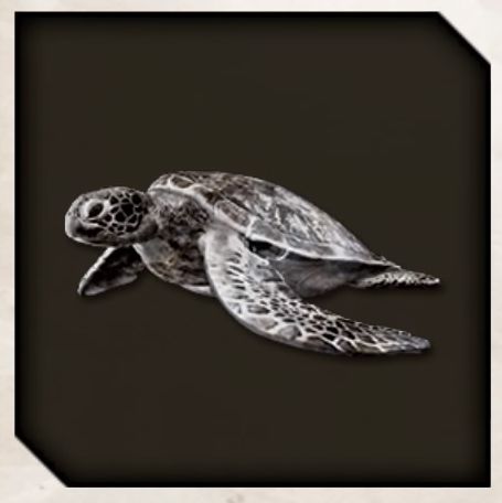 Lucky Turtle Souvenir icon for Like a Dragon Infinite Wealth. copy