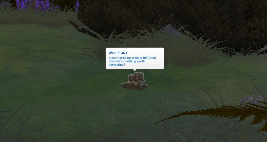 morel mushrooms growing in the wild the sims 4 herbalism skill