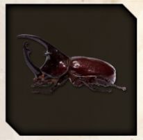 Rhinoceros Beetle icon from Like a Dragon Infinite Wealth. 