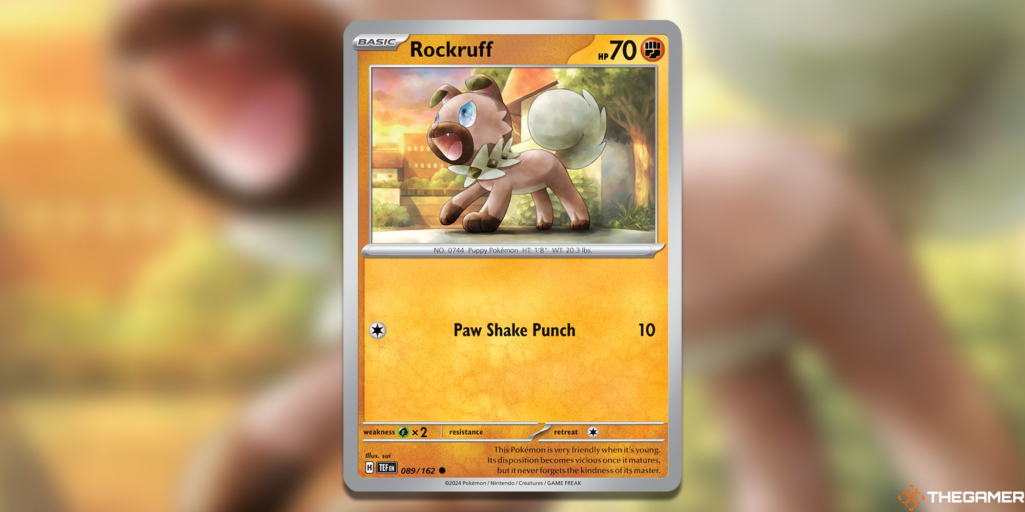 Rockruff