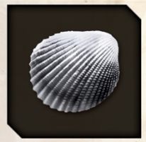 Silver Clam icon in Like a Dragon Infinite Wealth.