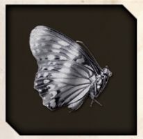 Silver Flutter icon from Like a Dragon Infinite Wealth.