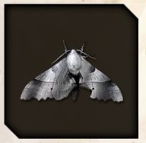Silver Lampchaser icon from Like a Dragon Infinite Wealth