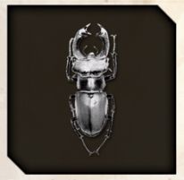 Silver Pincher icon from Like a Dragon Infinite Wealth.