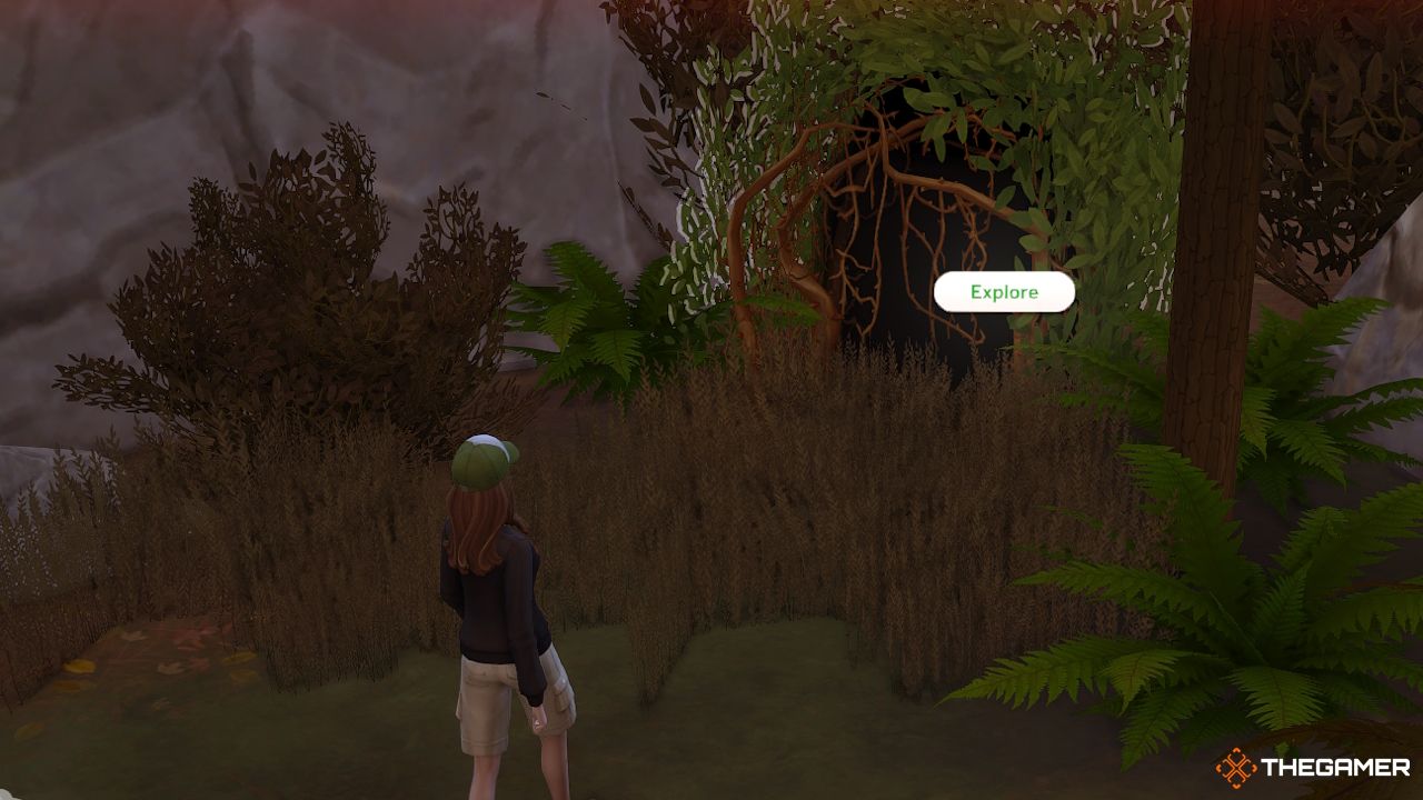 A Sim walks towards the bramble patch to explore 