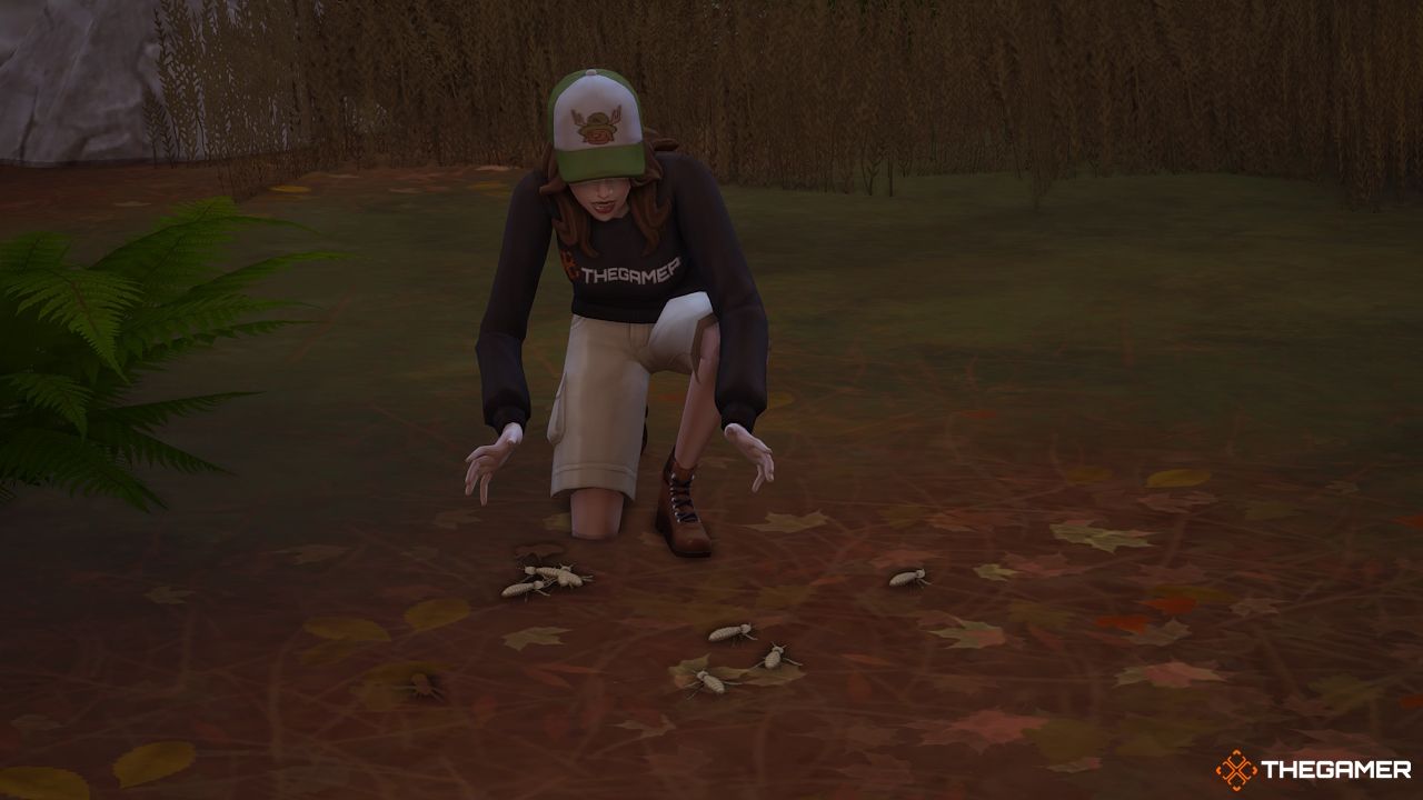 A female Sim collects termite bugs on the forest floor