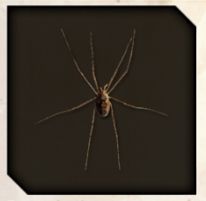 Spider icon from Like a Dragon Infinite Wealth.