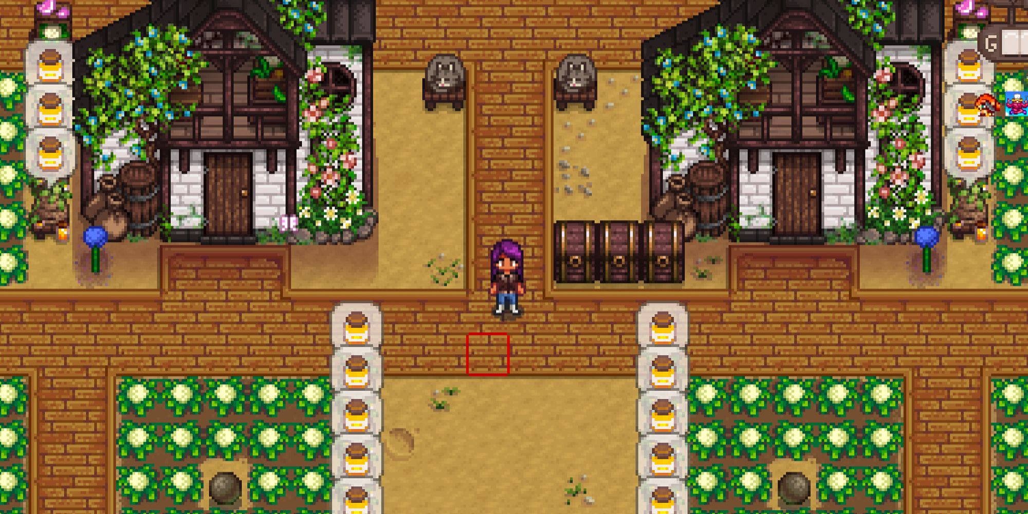 Stardew Valley farmer standing between two sheds with crops and bee houses separated by in-game paths