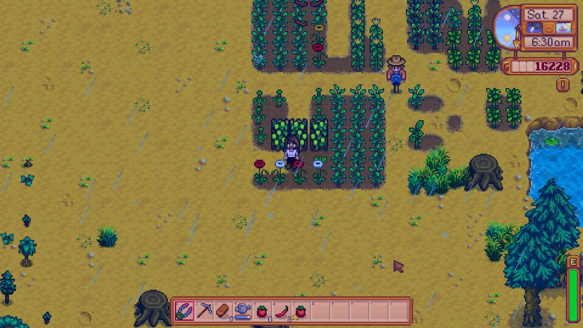 stardew valley player standing next to growing poppy