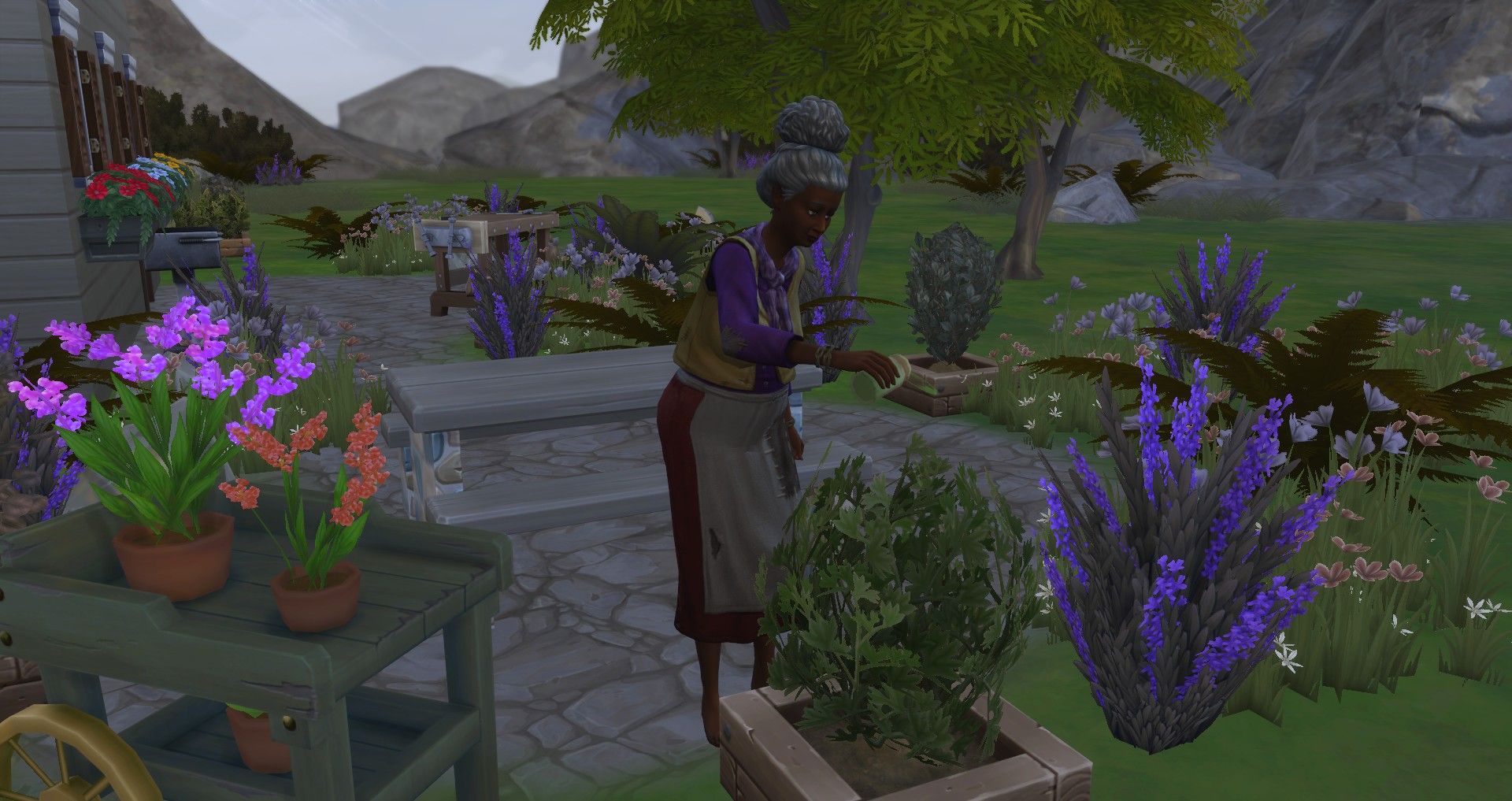 the hermit of granite falls watering her crops the sims 4 herbalism skill