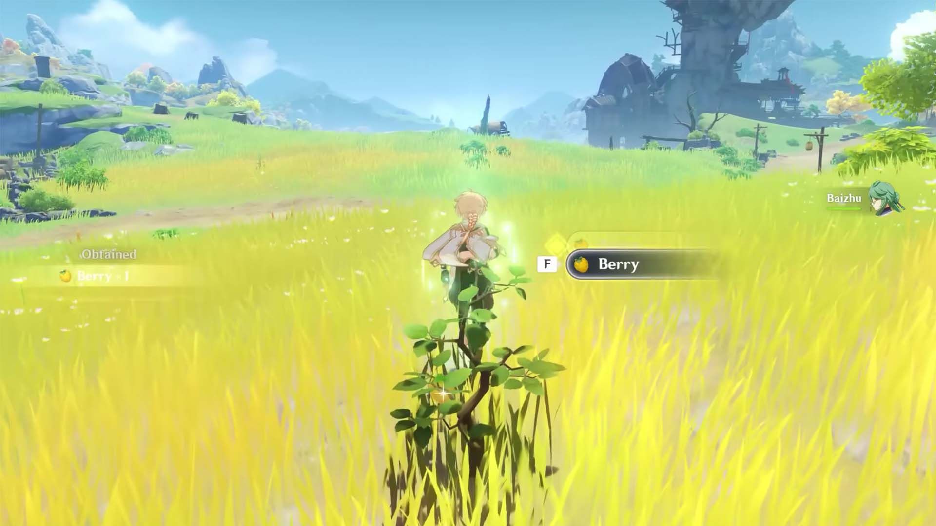 Aether collecting berries and triggering Baizhu's Passive - Genshin Impact