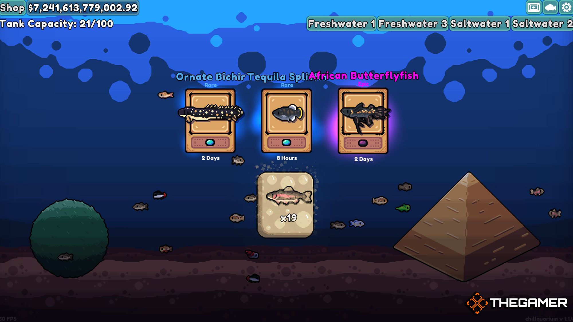 Choosing Fish Packs In Chillquarium