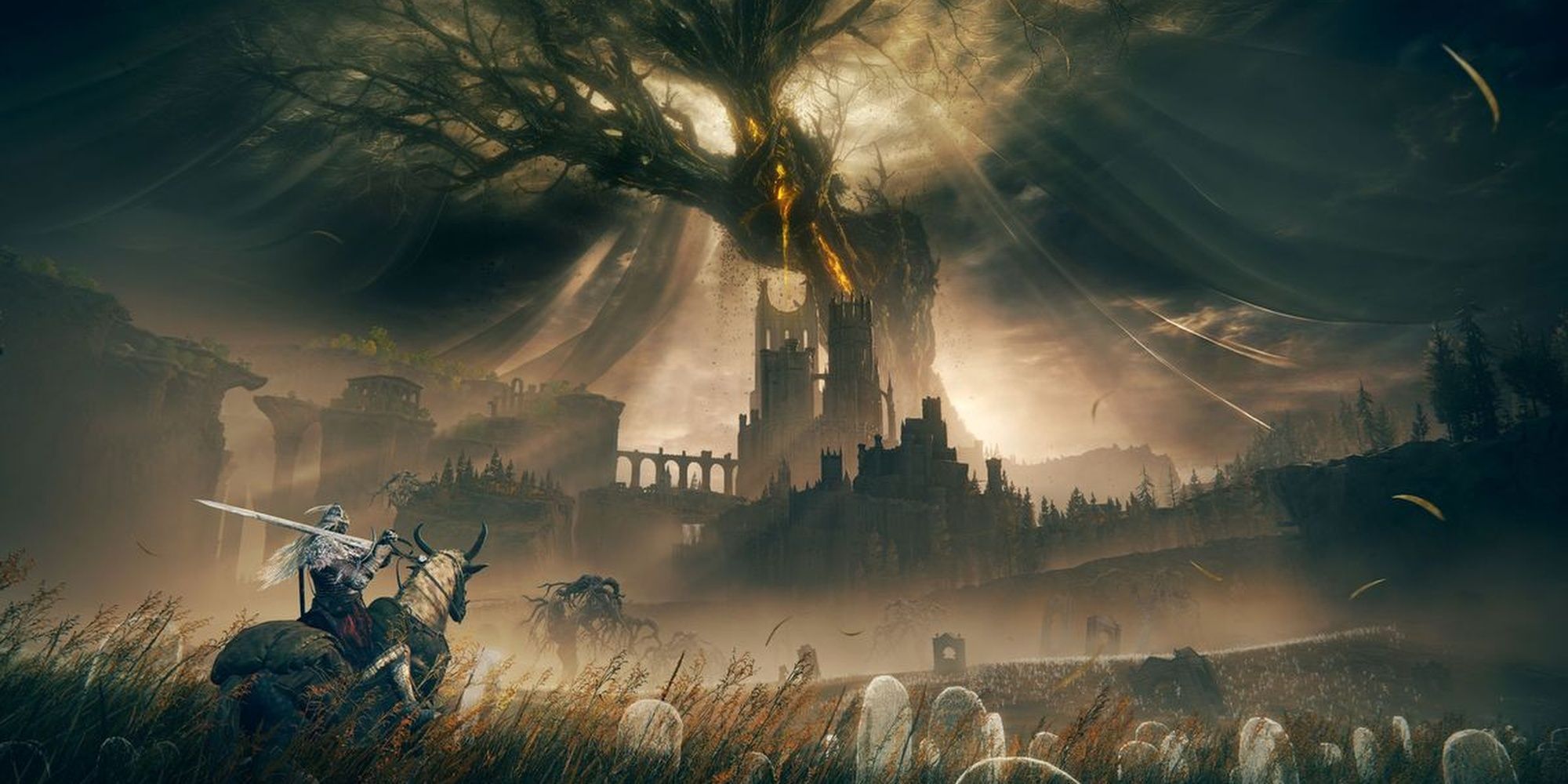 Elden Ring: The Tarnished Observing The Shadowy Lands In The DLC