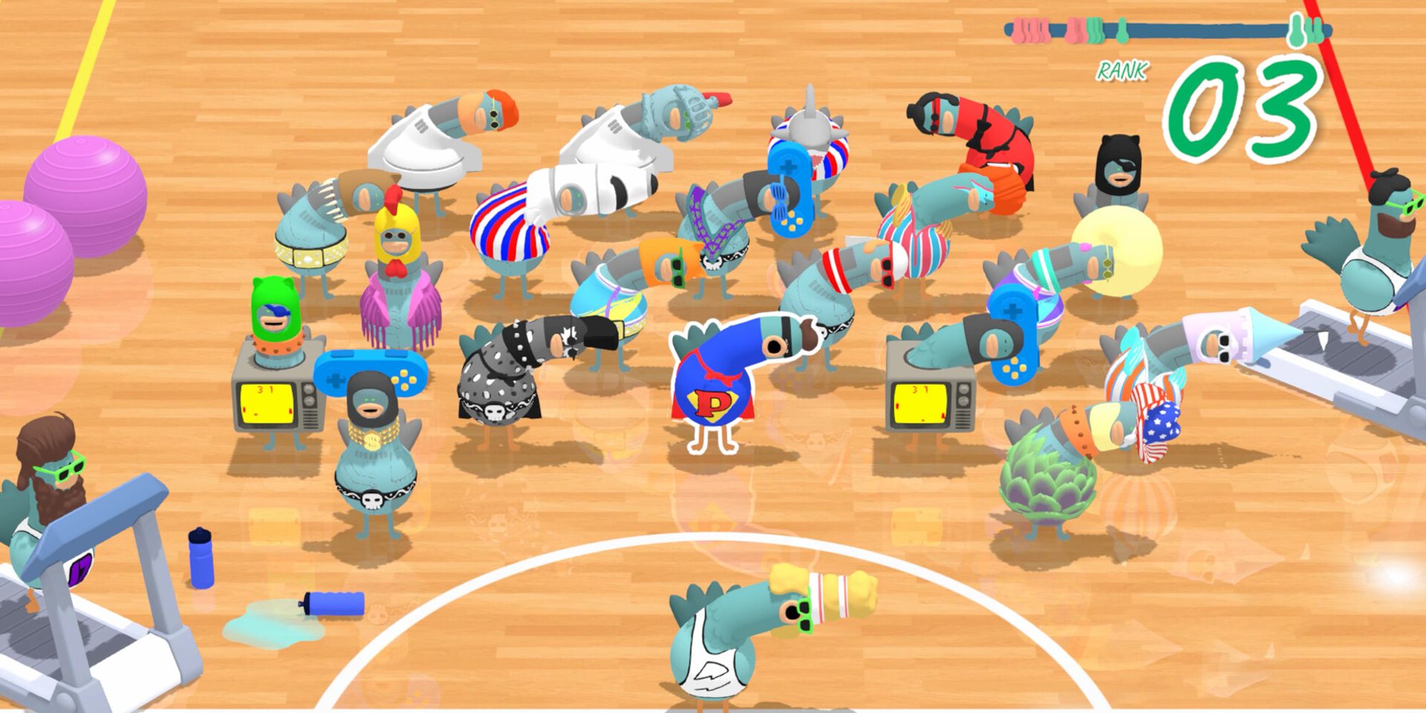 A group of pigeons participate in rhythmic games together in a gymnasium.