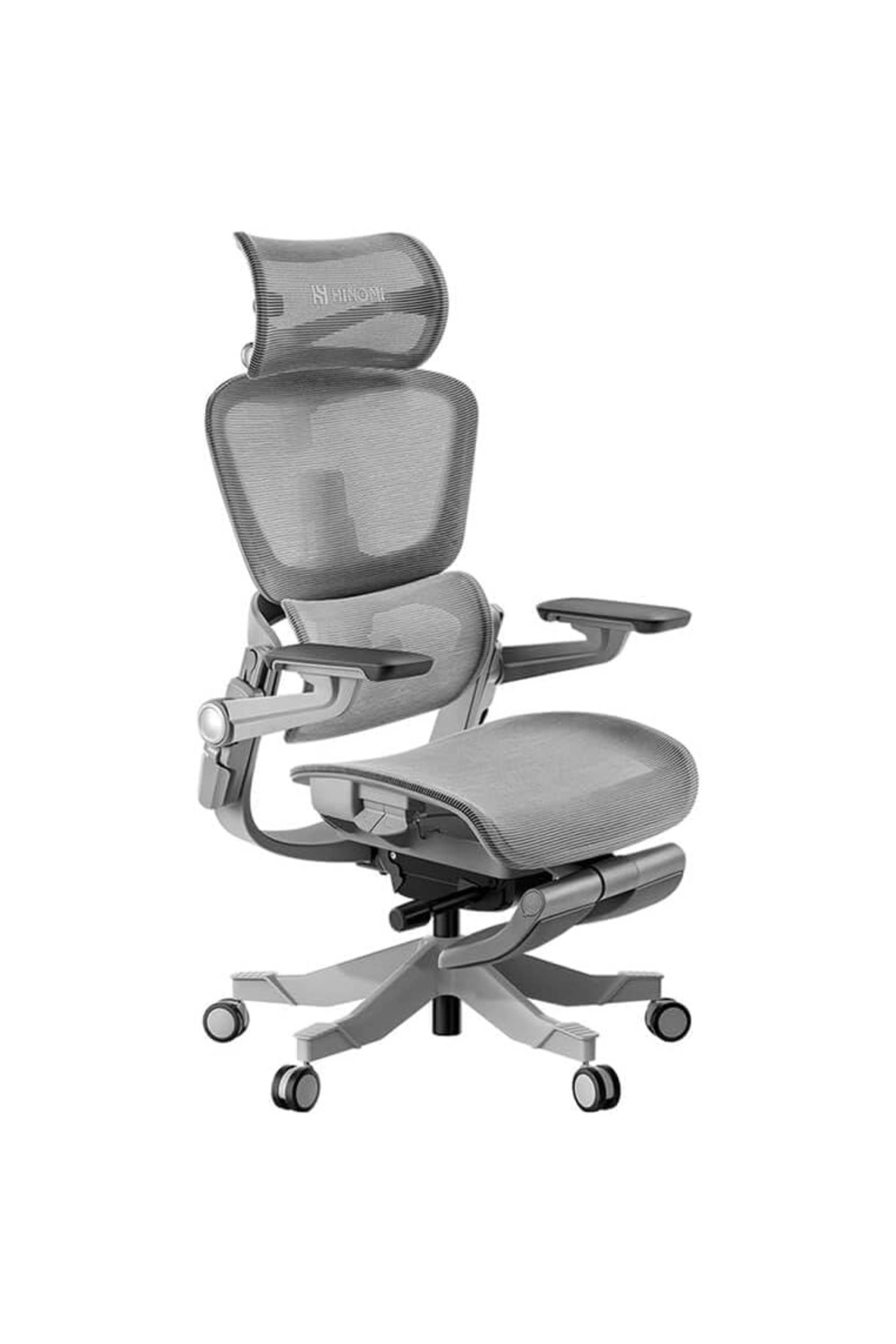 HINOMI H1 Pro 3D Lumbar Support Ergonomic Chair