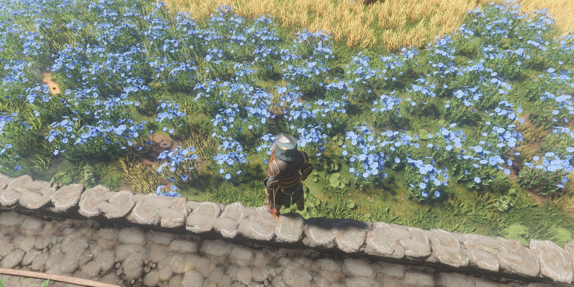 Starting a Flax Farm for Linen crafts