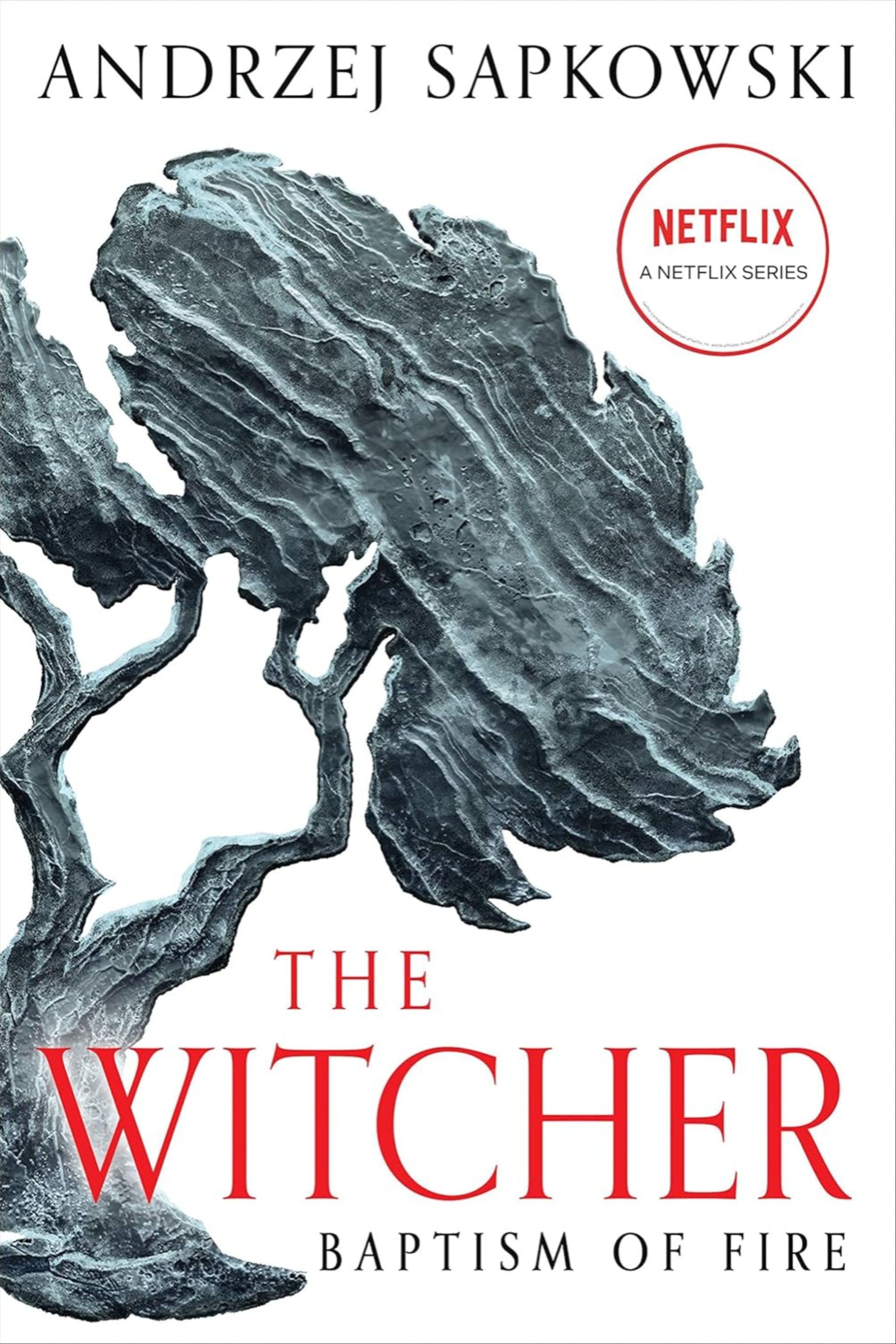 The Witcher: Baptism of Fire