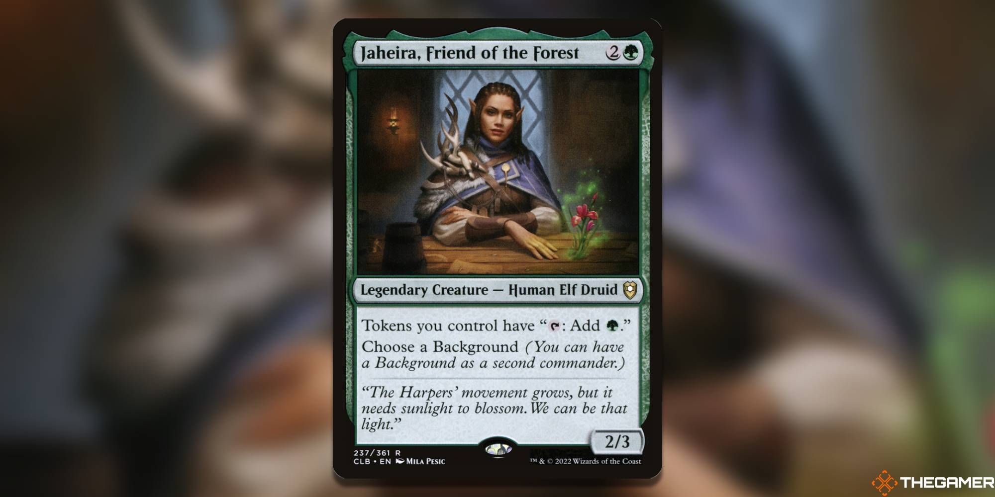 Jaheira, Friend of the Forest Magic: The Gathering card
