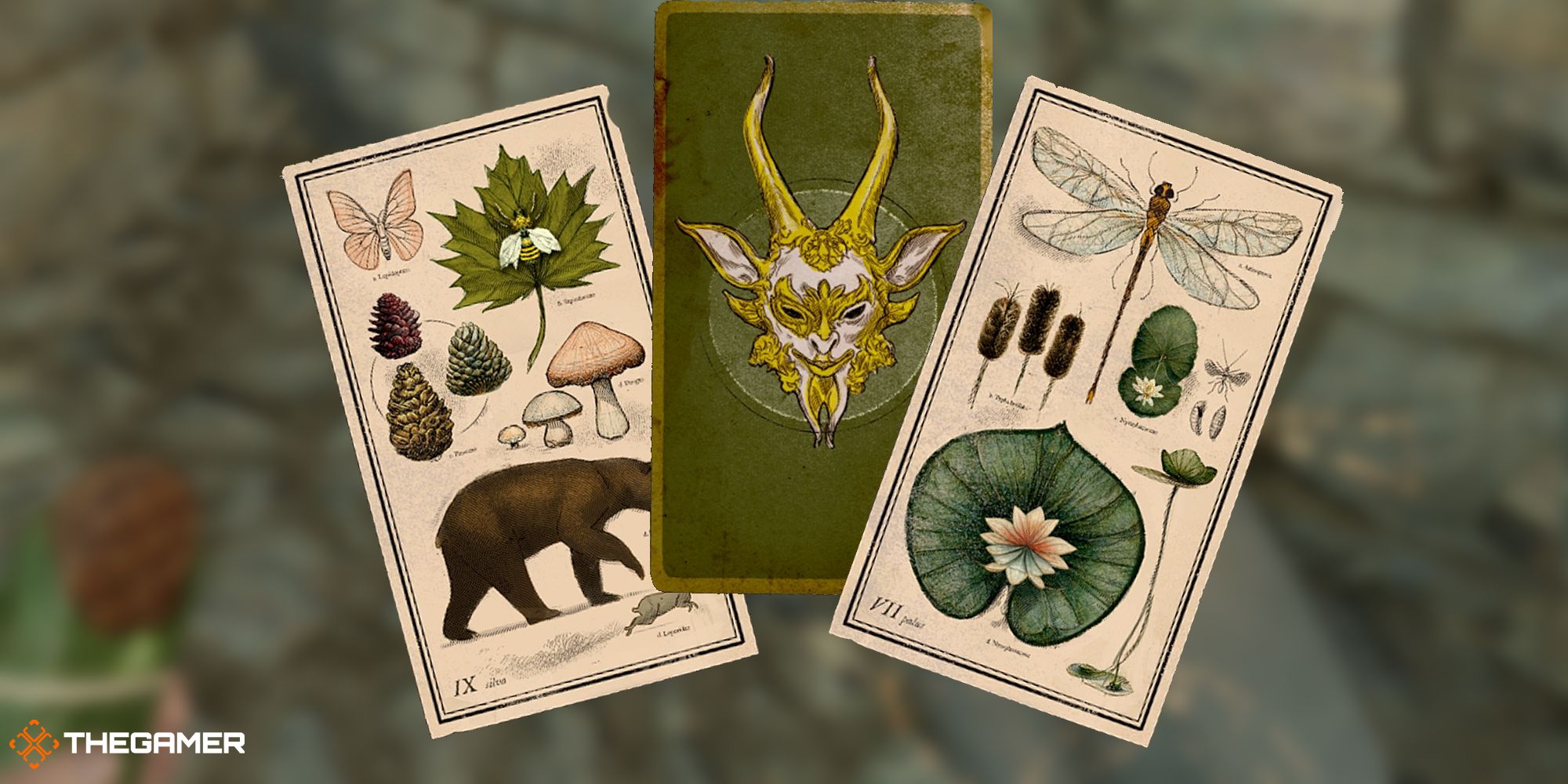 Nightingale Cards