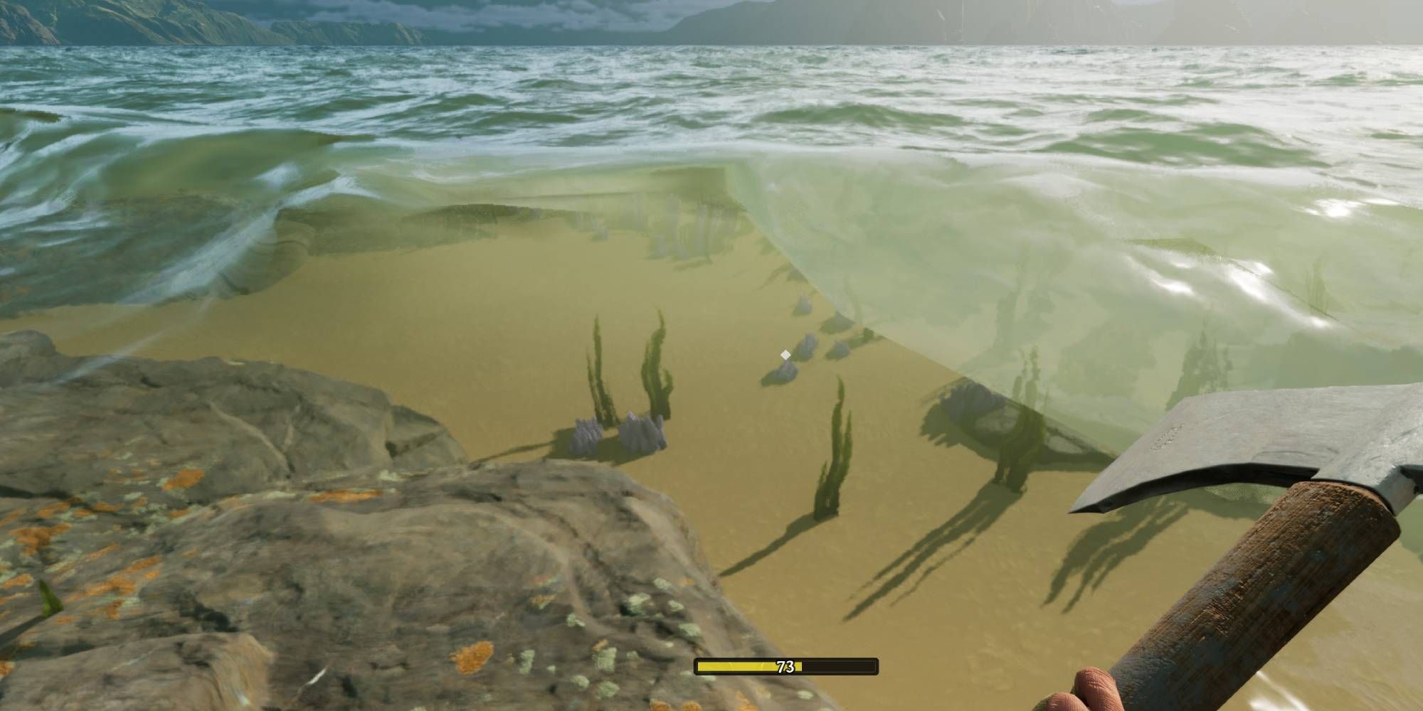 Nightingale Coral Location