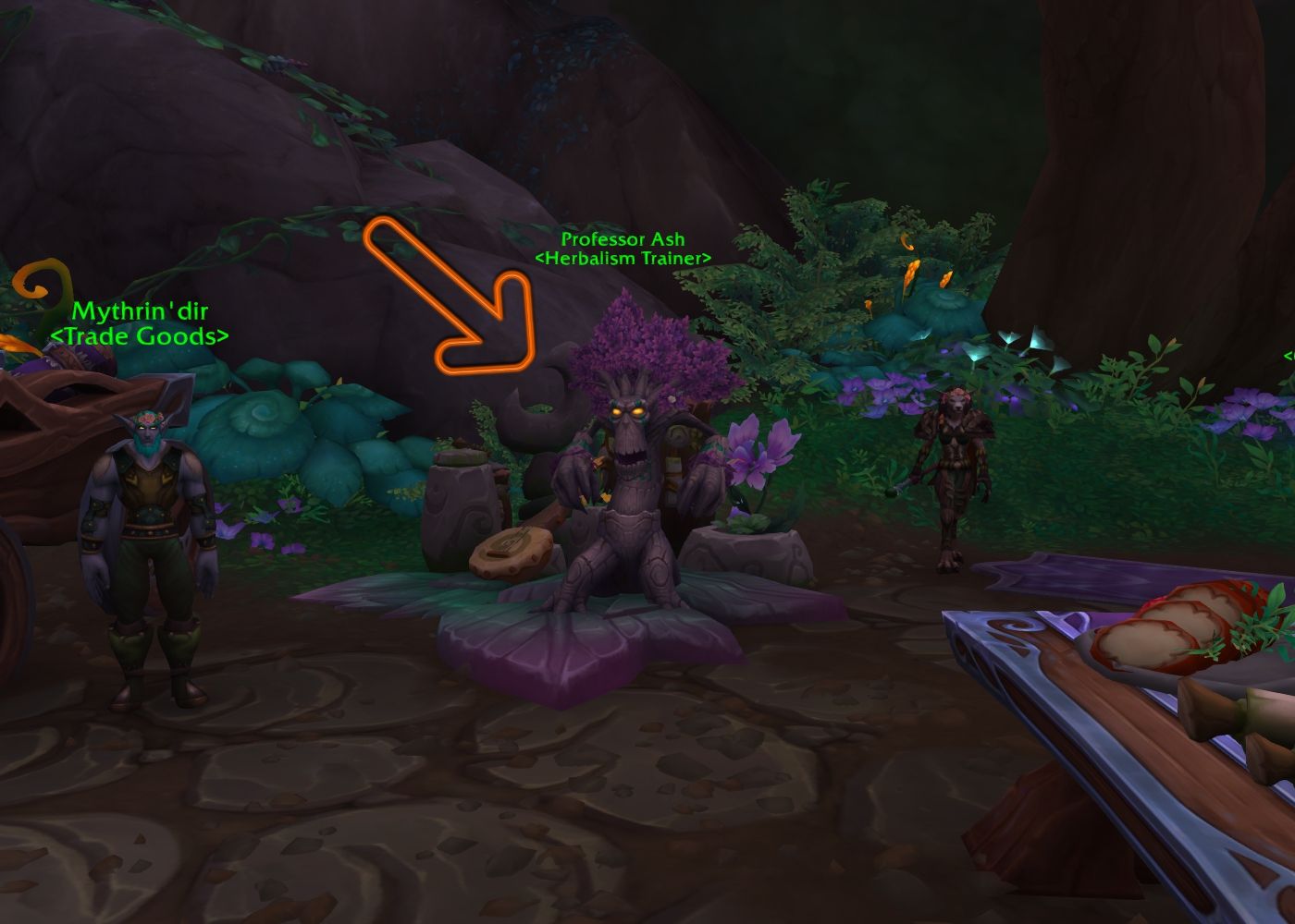 The Treant NPC, "Professor Ash," with an arrow pointed at him