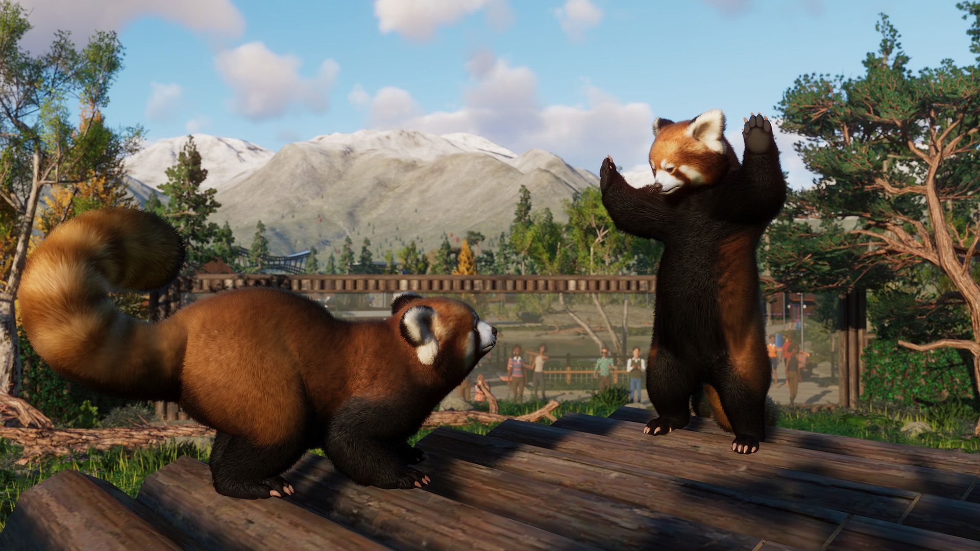Red Pandas in Planet Zoo. One is on its hind legs with its arms in the air