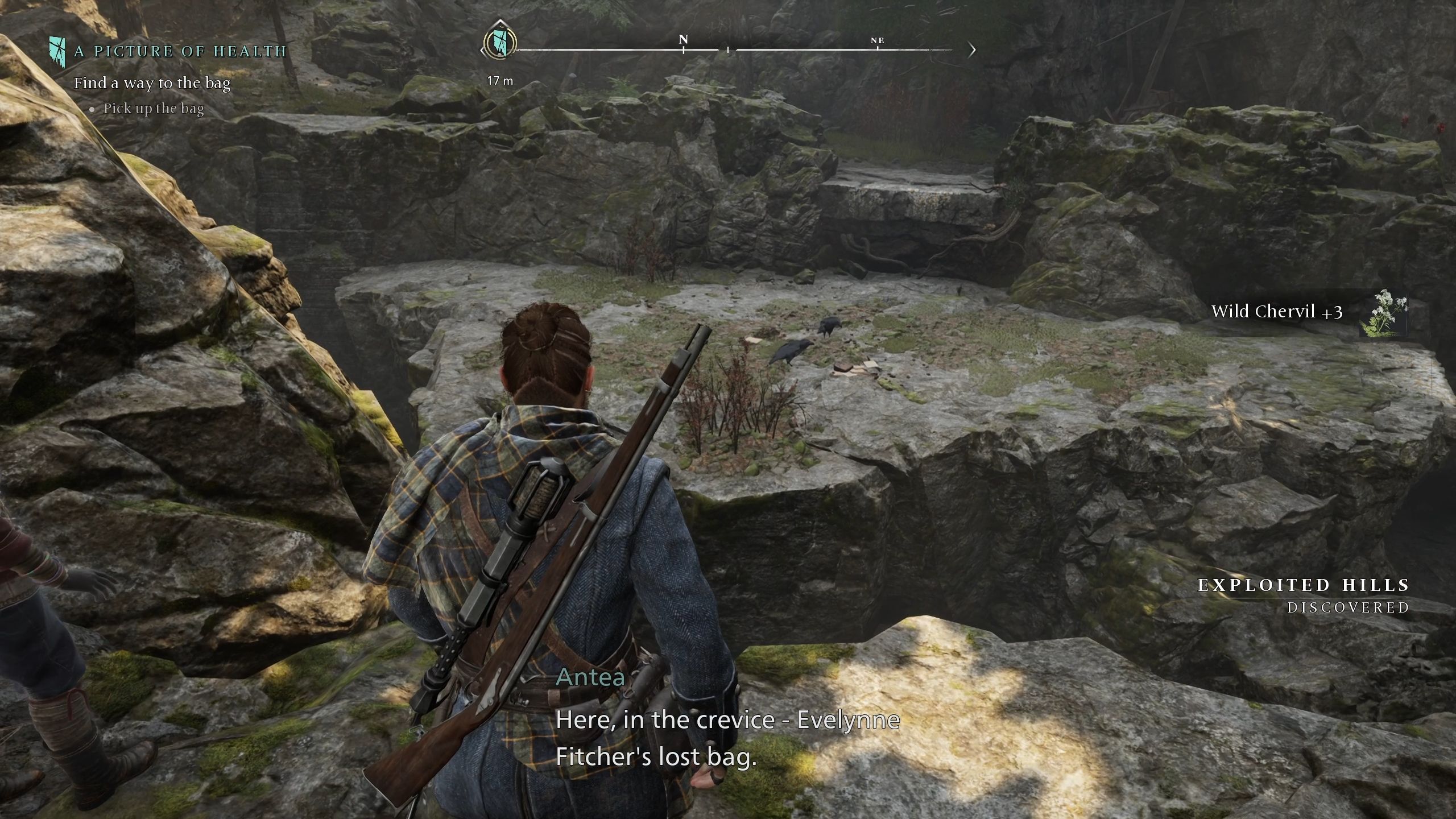 Red is looking at Evelynne medical bag at the other side of the cliff - Banishers Ghosts of New Eden