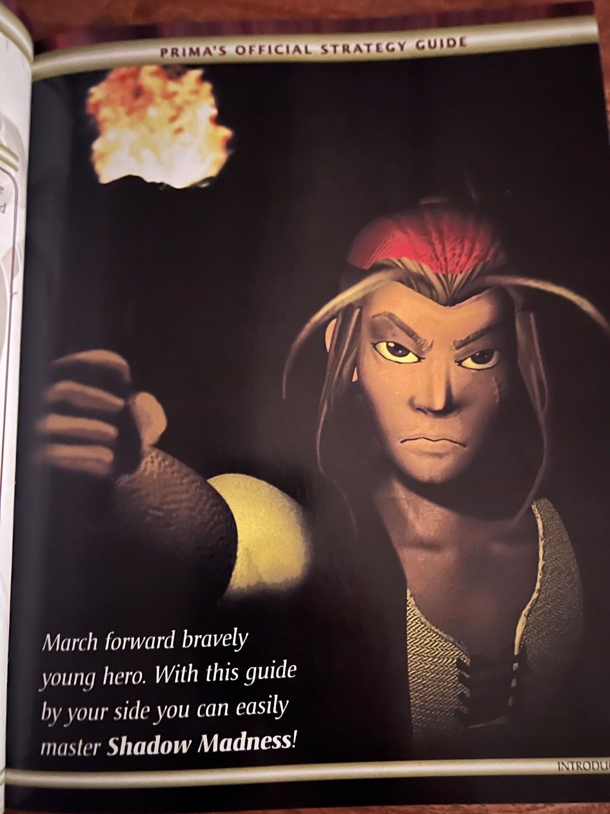 Another page from the Shadow Madness guide with text that reads: "March forward braverly young hero. With this guide by your side you can easily master Shadow Madness!"