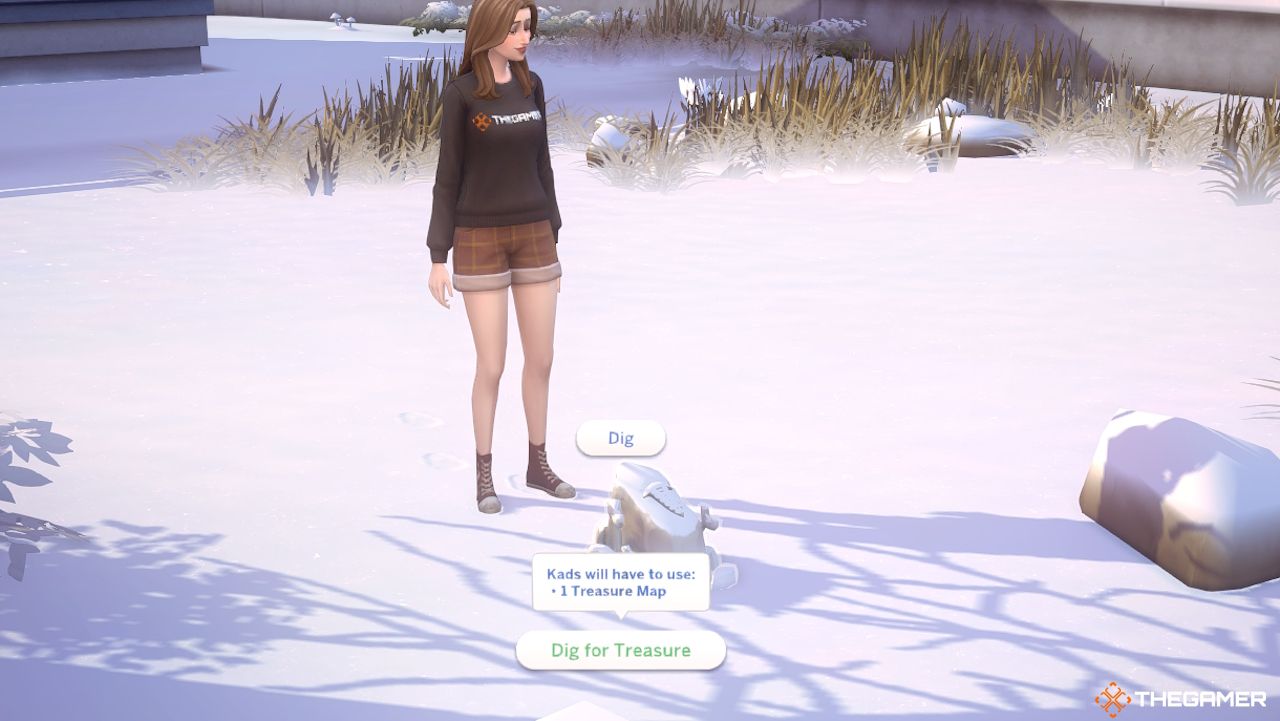 A Sim with the option to Dig for Treasure on a rock