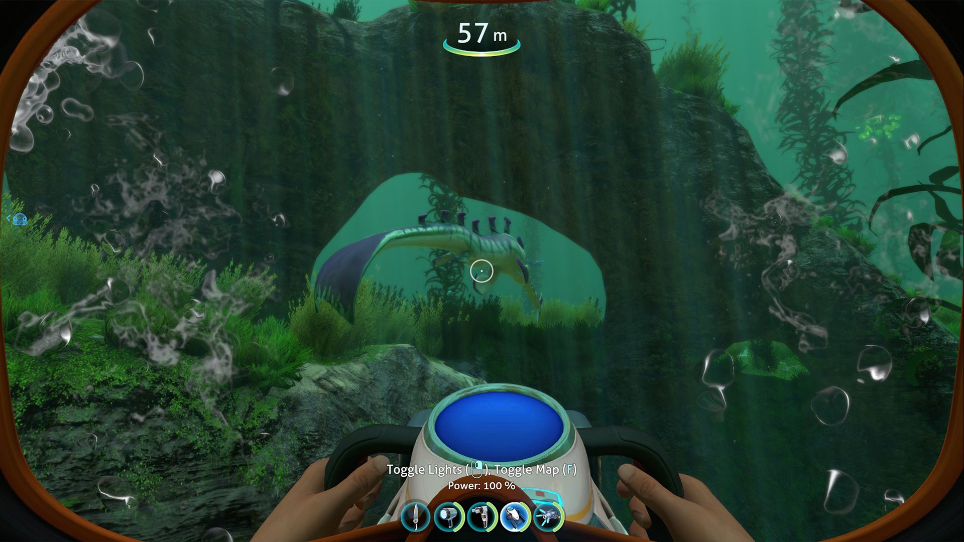 Stalker in Kelp Forest