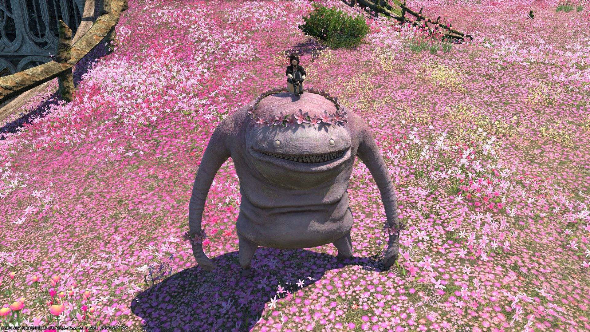 A player atop the Peatie mount in Final Fantasy 14.-1