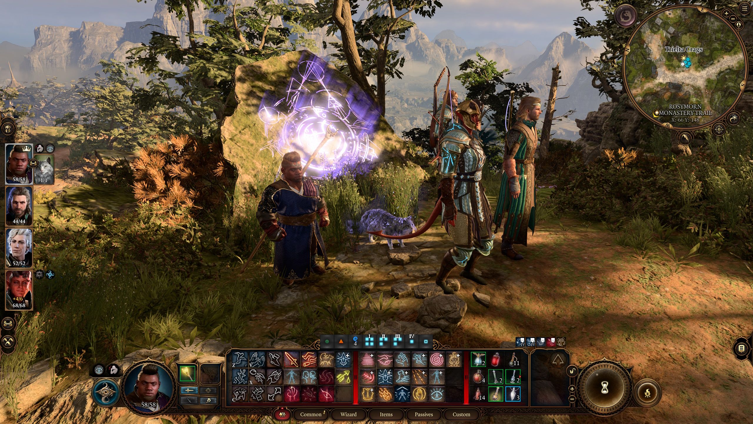 Baldur's Gate 3 School of Illusion Wizard Illusion Cat And The Gang