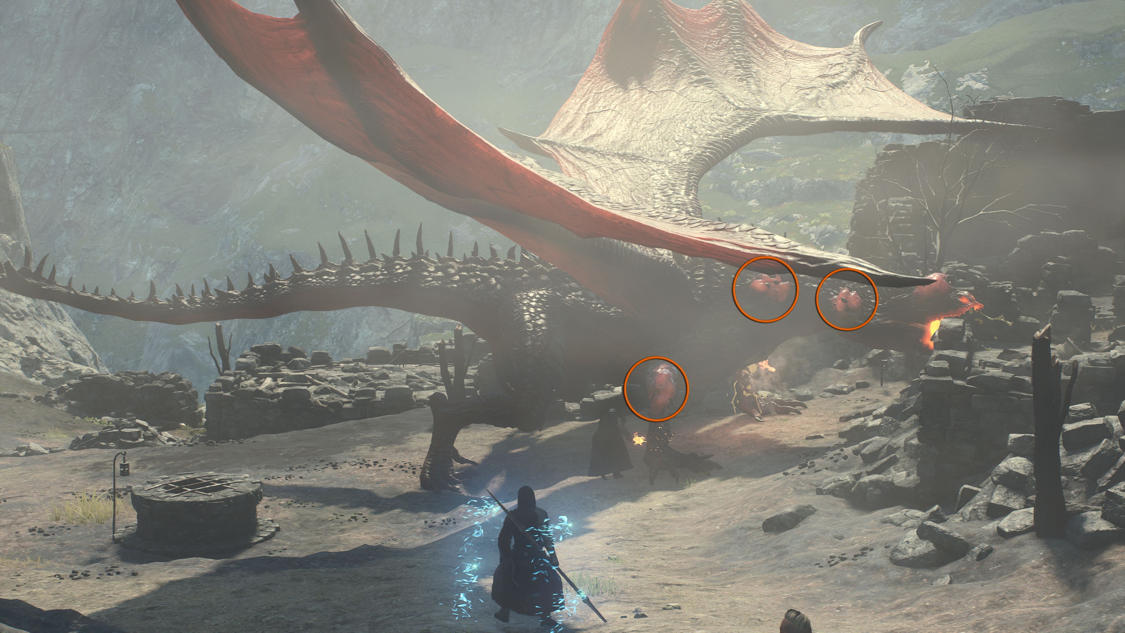 Circles showing the weakspot of the Melve Drake - Dragon's Dogma 2