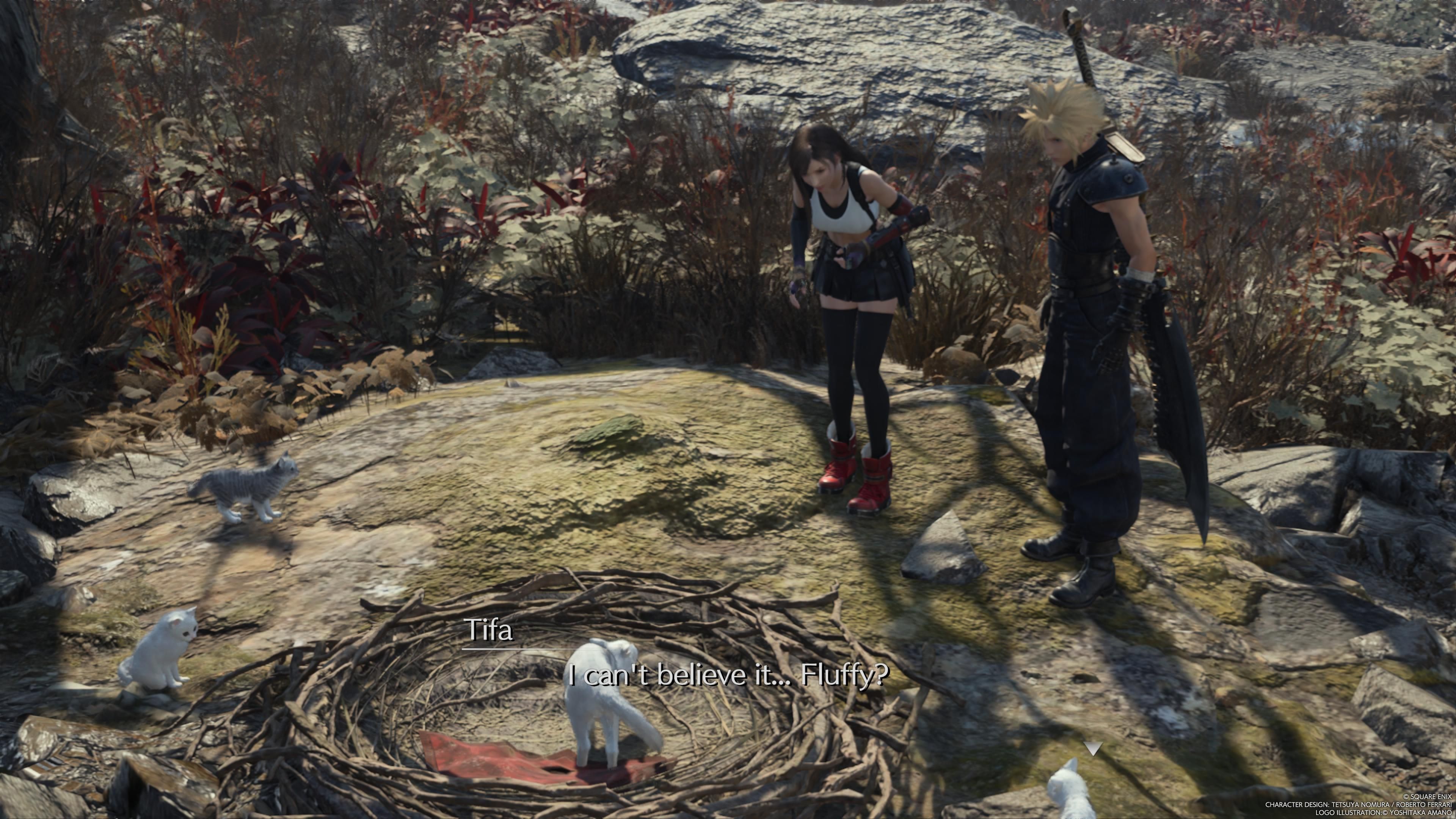 Cloud and Tifa are looking at the cat and her kitten - FF7 Rebirth
