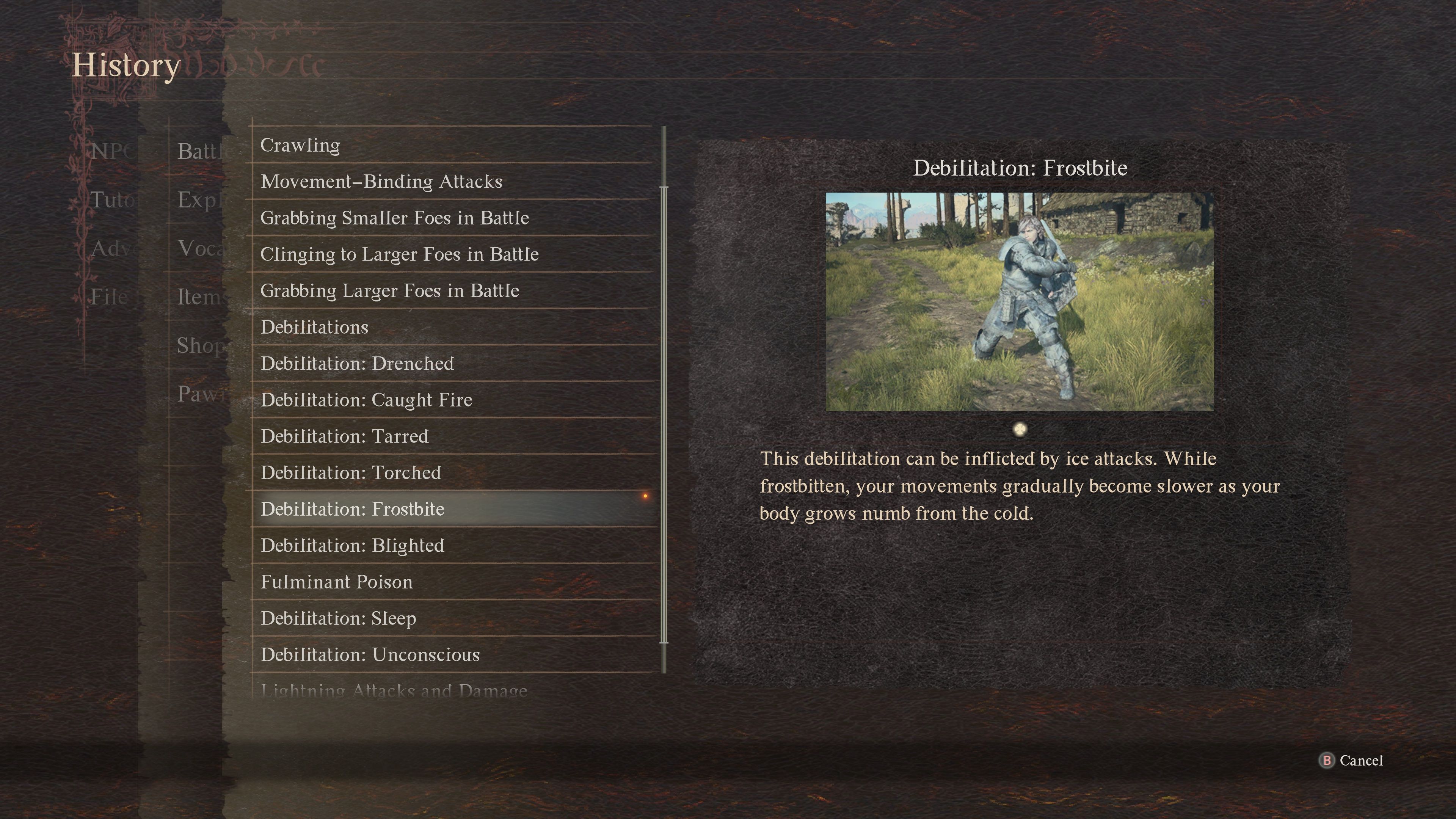 Frostbite in the menu of Dragon's Dogma 2.