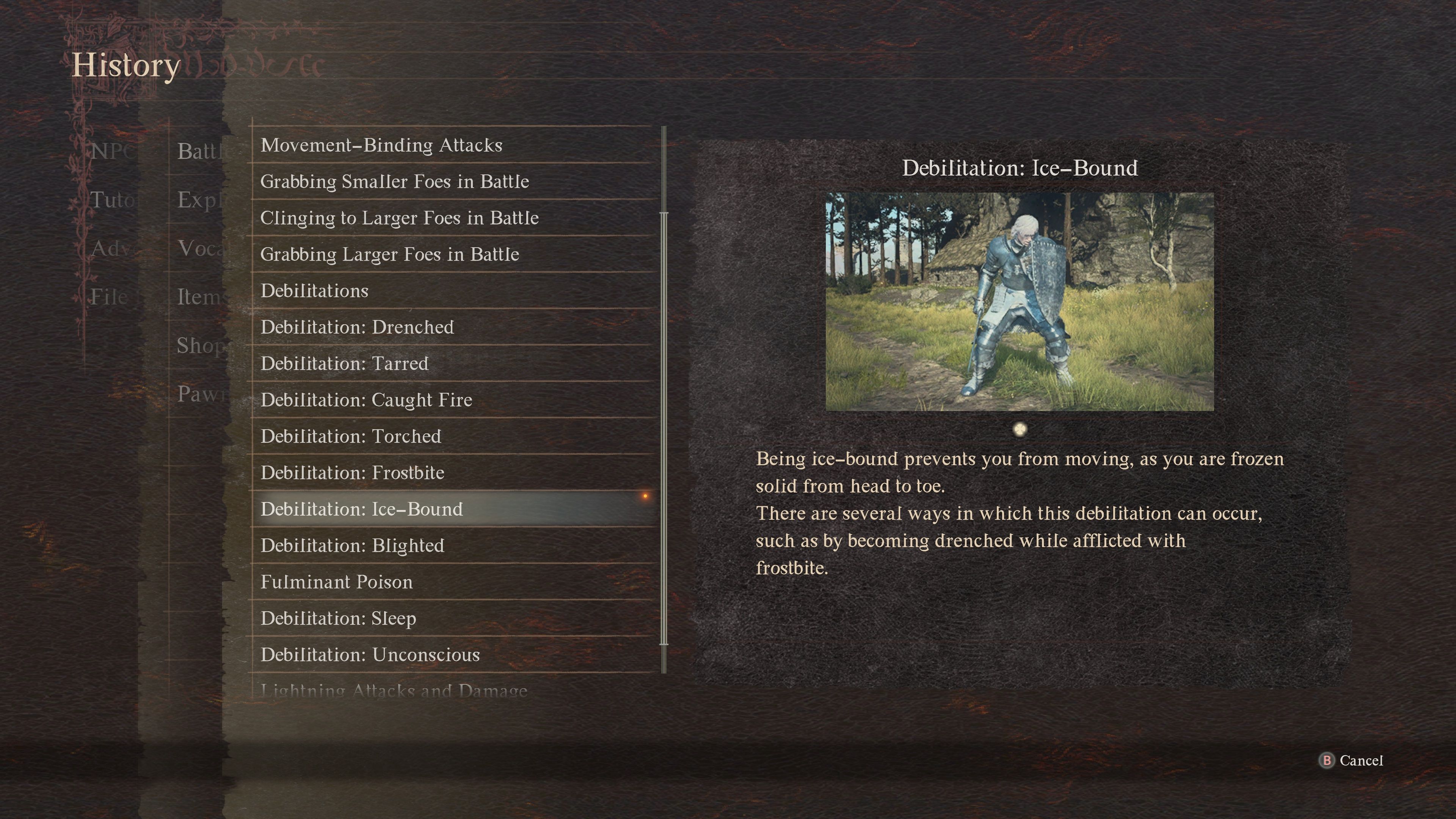 Ice Bound in the menu of Dragon's Dogma 2.
