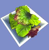 Disney Dreamlight Valley Salad