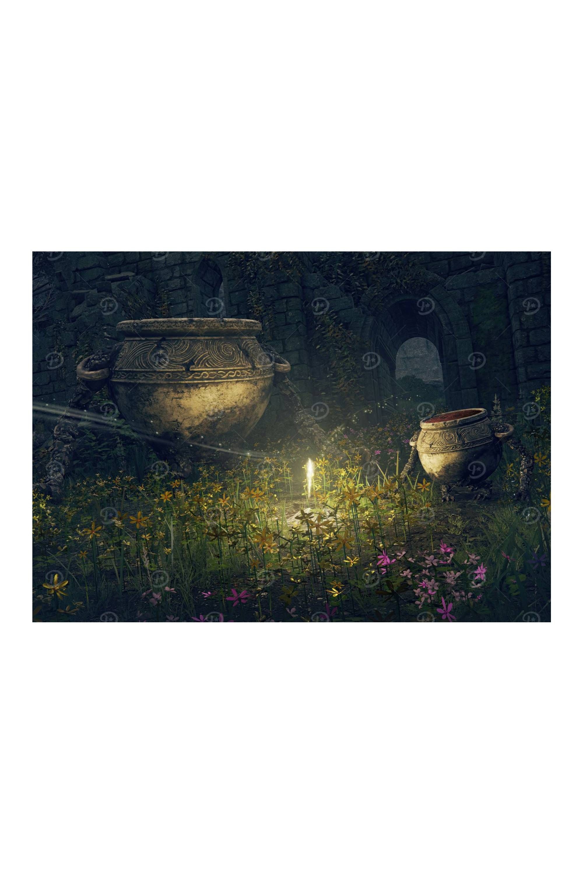 Displate Elden Ring Pot Boys Metal Poster