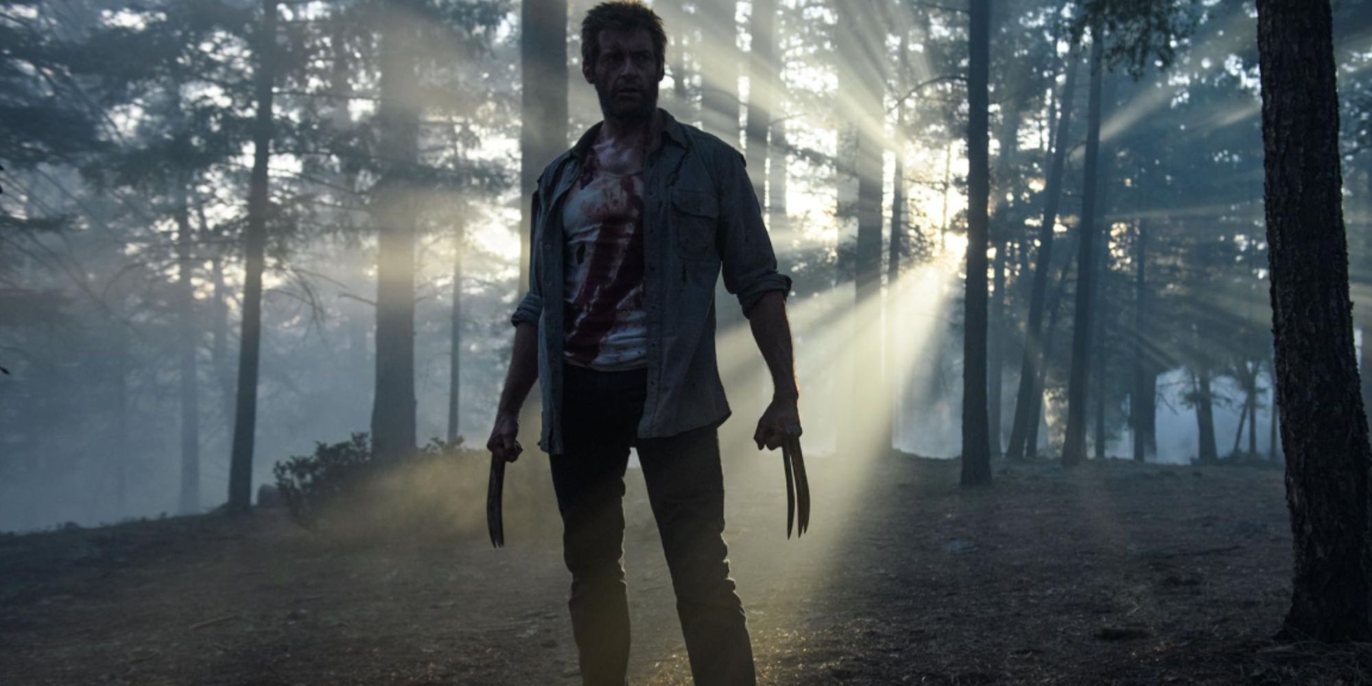 Hugh Jackman's Wolverine standing in the middle of a forest with claws out and his shirt all scratched up and bloodied.