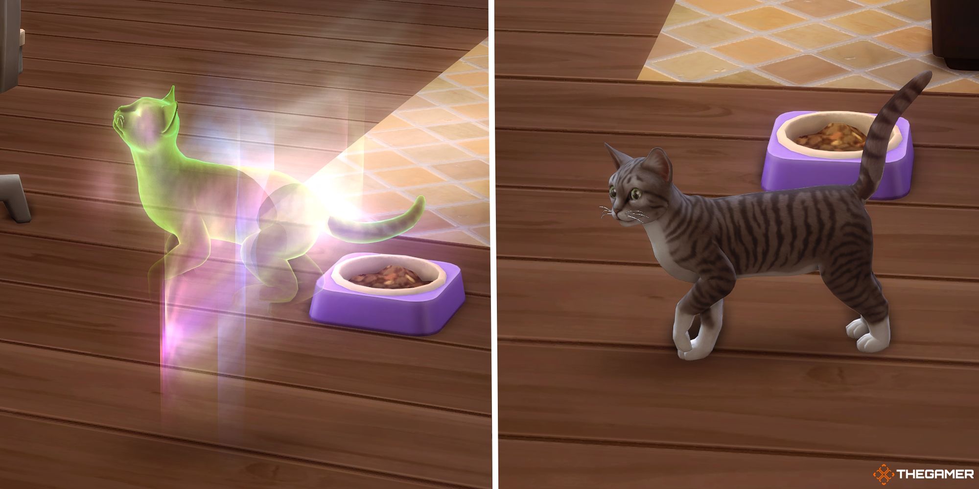 A cat is revived in Sims 4 to become alive again