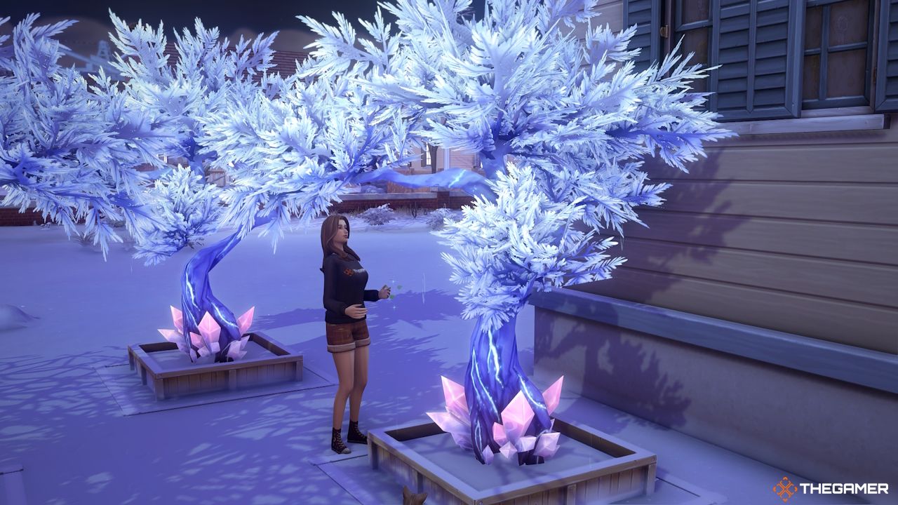 A Sim speaks to their Crystal Tree outside