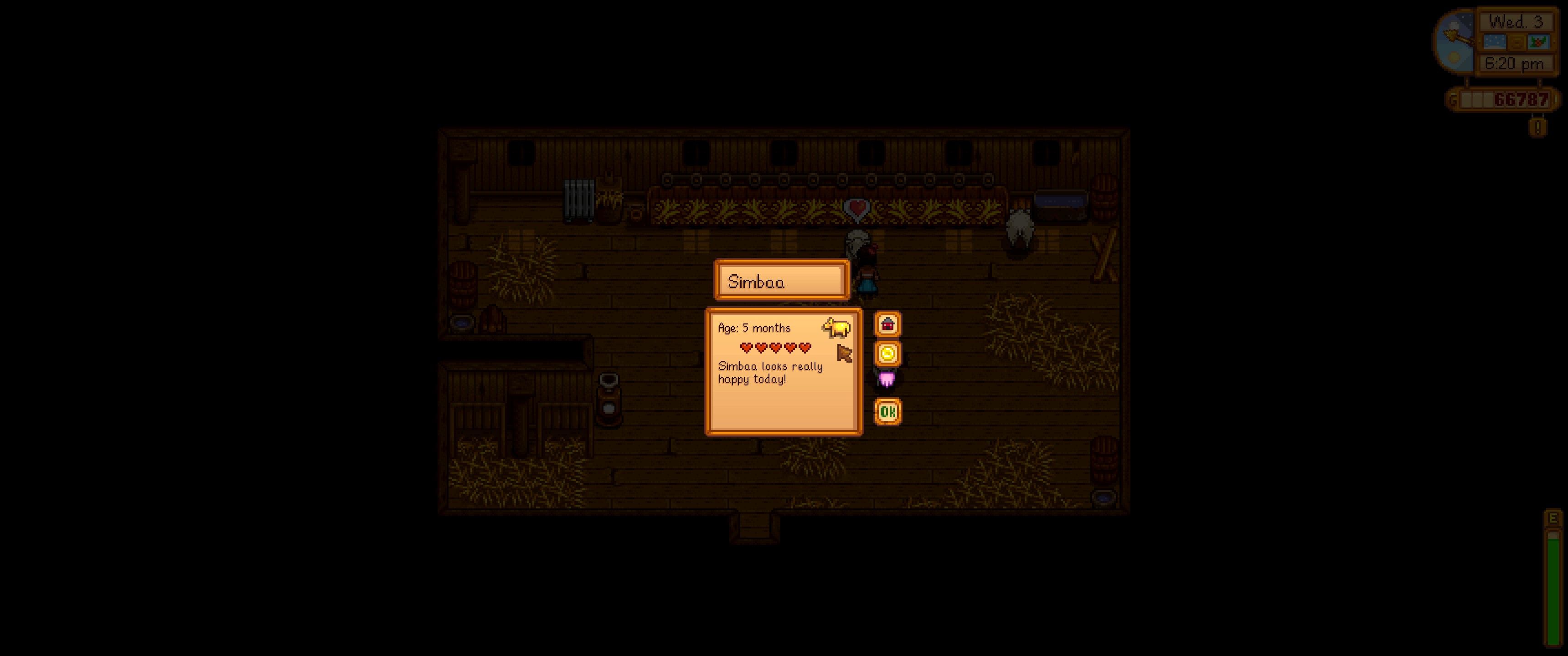 Stardew Valley: An image of the Golden Animal Cracker in the animal menu of a sheep