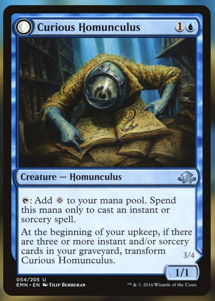 Curious Homunculus